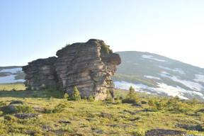 ����� ����