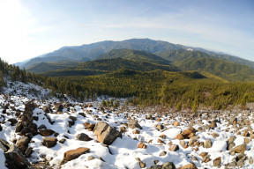 на курумнике
