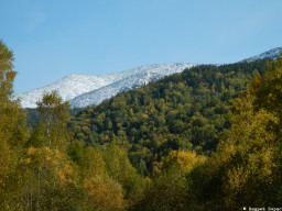 Золотая Осень