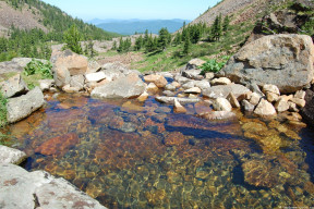 Ванна с ледяной водой
