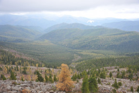 Пойлова