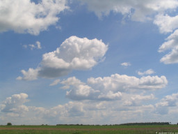 ���� 2