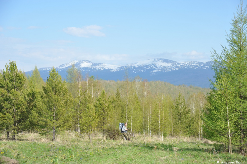 Кутурчины