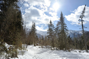 Дорога