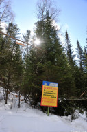 Местообитания медведя