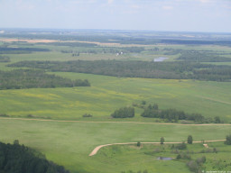 Поля и луга