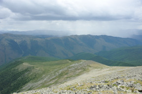 Куркуль