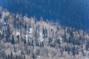 Таежные горки